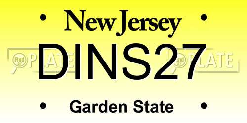 DINS27 New Jersey License Plate