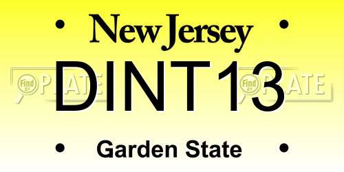 DINT13 New Jersey License Plate