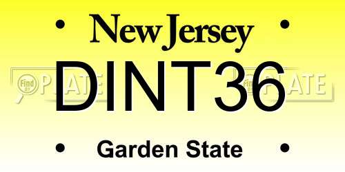 DINT36 New Jersey License Plate