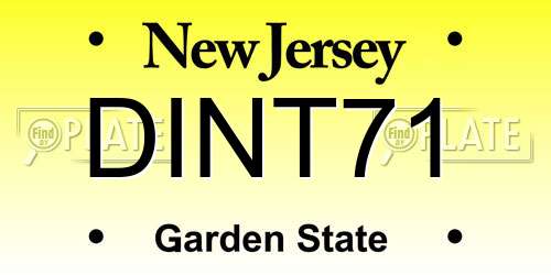 DINT71 New Jersey License Plate