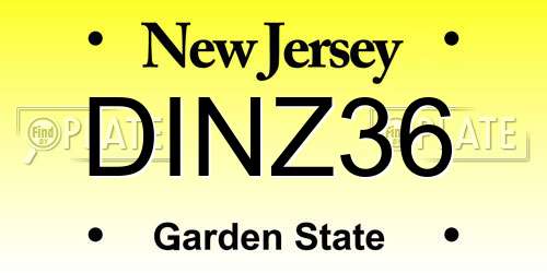 DINZ36 New Jersey License Plate