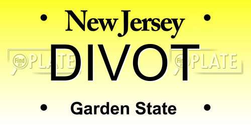DIVOT New Jersey License Plate