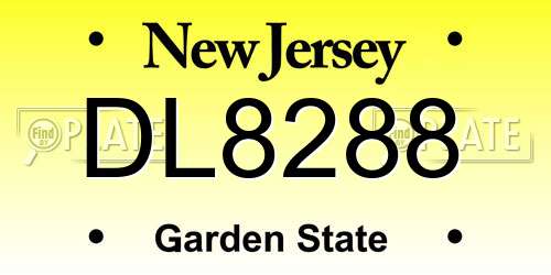DL8288 New Jersey License Plate