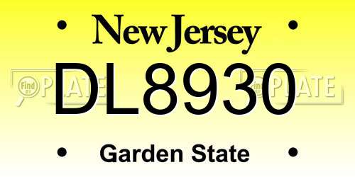 DL8930 New Jersey License Plate