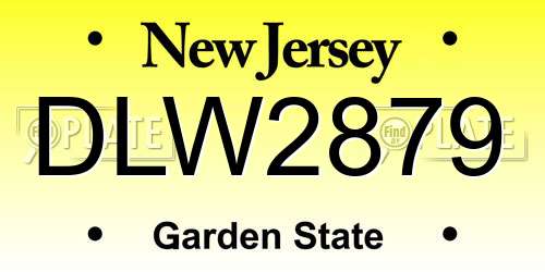 DLW2879 New Jersey License Plate