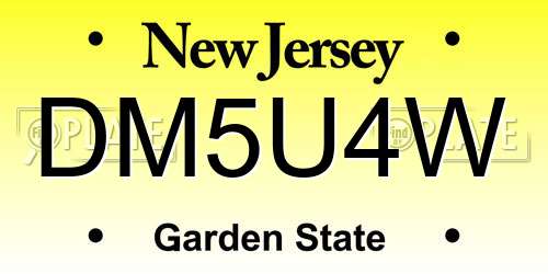DM5U4W New Jersey License Plate