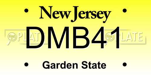 DMB41 New Jersey License Plate