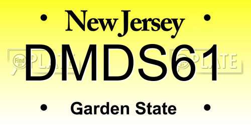 DMDS61 New Jersey License Plate