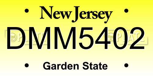 DMM5402 New Jersey License Plate