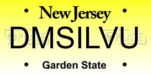 DMSILVU New Jersey License Plate