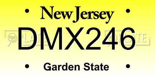 DMX246 New Jersey License Plate