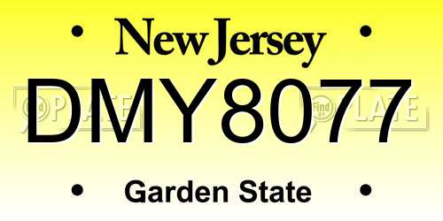 DMY8077 New Jersey License Plate