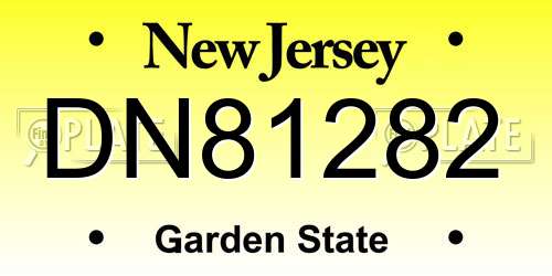 DN81282 New Jersey License Plate