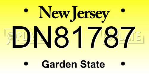 DN81787 New Jersey License Plate