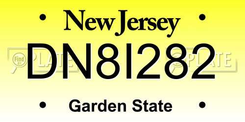 DN8I282 New Jersey License Plate