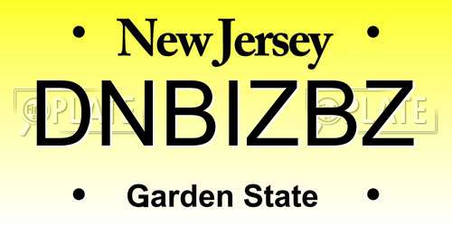 DNBIZBZ New Jersey License Plate