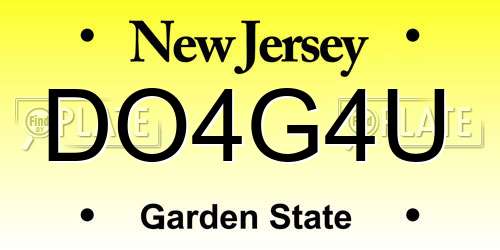 DO4G4U New Jersey License Plate
