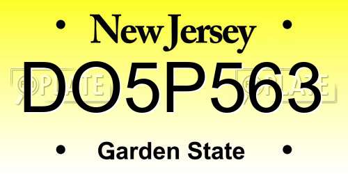 DO5P563 New Jersey License Plate