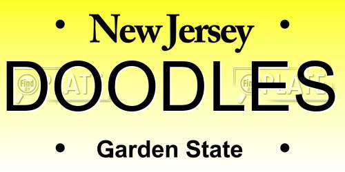 DOODLES New Jersey License Plate