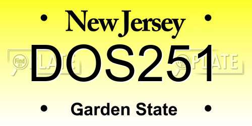 DOS251 New Jersey License Plate