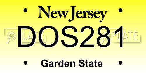 DOS281 New Jersey License Plate