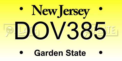 DOV385 New Jersey License Plate