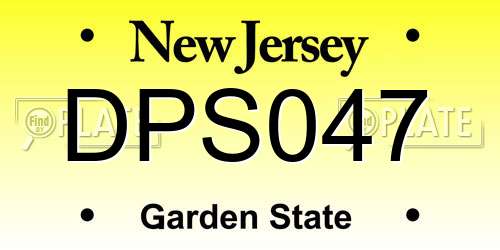 DPS047 New Jersey License Plate