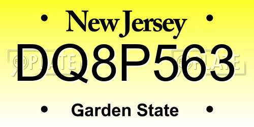 DQ8P563 New Jersey License Plate