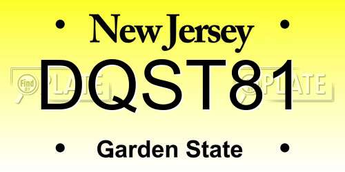 DQST81 New Jersey License Plate