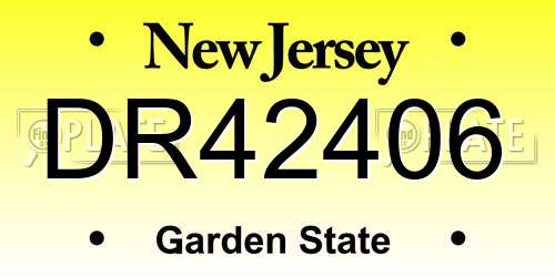 DR42406 New Jersey License Plate