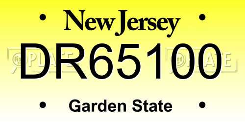 DR65100 New Jersey License Plate