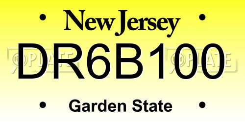 DR6B100 New Jersey License Plate