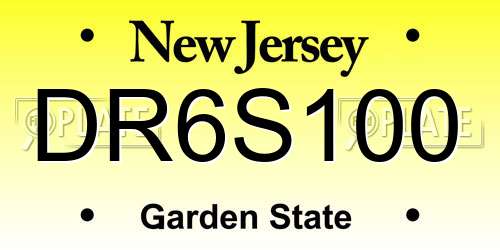 DR6S100 New Jersey License Plate