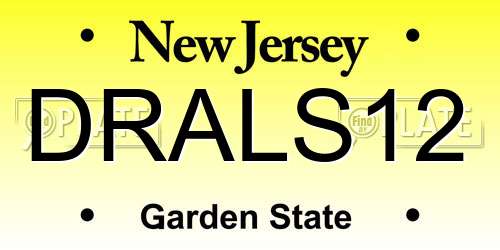 DRALS12 New Jersey License Plate