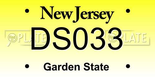 DS033 New Jersey License Plate