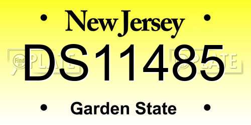 DS11485 New Jersey License Plate