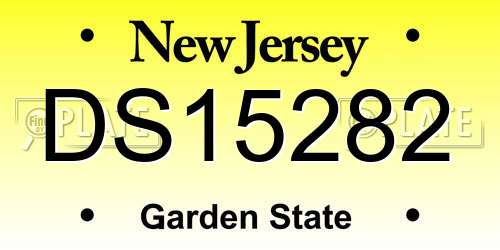 DS15282 New Jersey License Plate