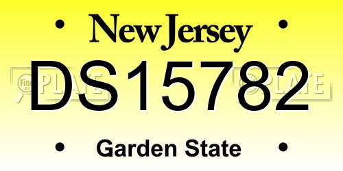 DS15782 New Jersey License Plate