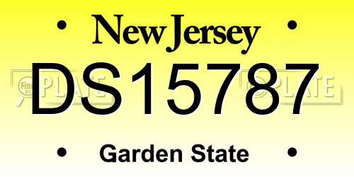 DS15787 New Jersey License Plate
