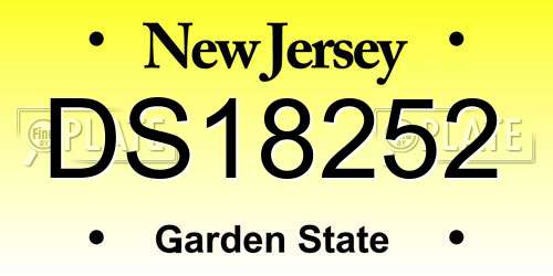 DS18252 New Jersey License Plate