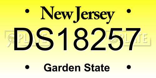 DS18257 New Jersey License Plate