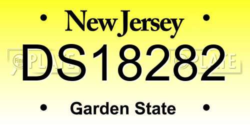 DS18282 New Jersey License Plate