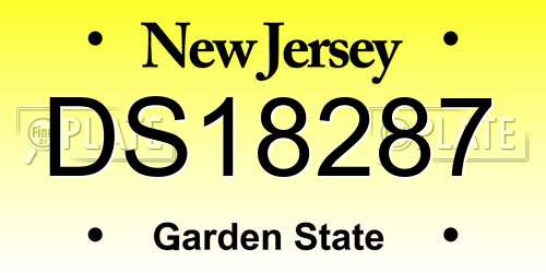DS18287 New Jersey License Plate