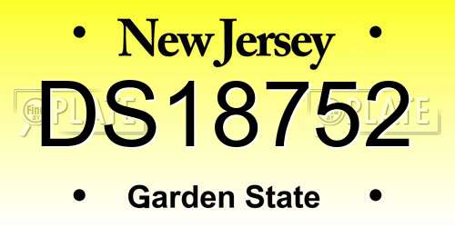 DS18752 New Jersey License Plate