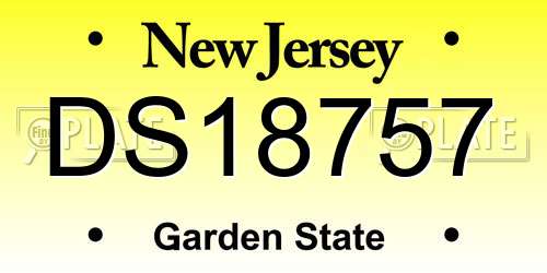 DS18757 New Jersey License Plate