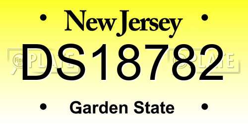 DS18782 New Jersey License Plate