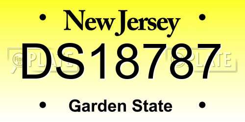 DS18787 New Jersey License Plate