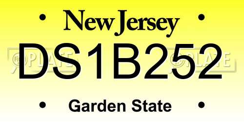 DS1B252 New Jersey License Plate