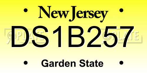 DS1B257 New Jersey License Plate