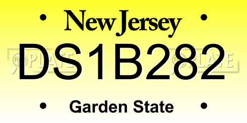 DS1B282 New Jersey License Plate